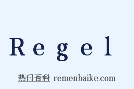 Regel是什么意思的图片
